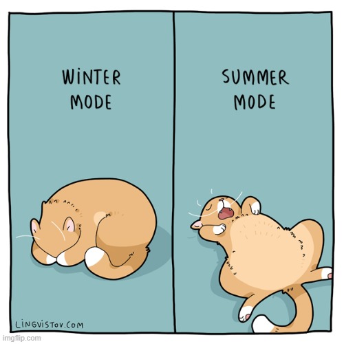 A Cat's Way Of Thinking | image tagged in memes,comics,cats,winter,summer,safe space | made w/ Imgflip meme maker