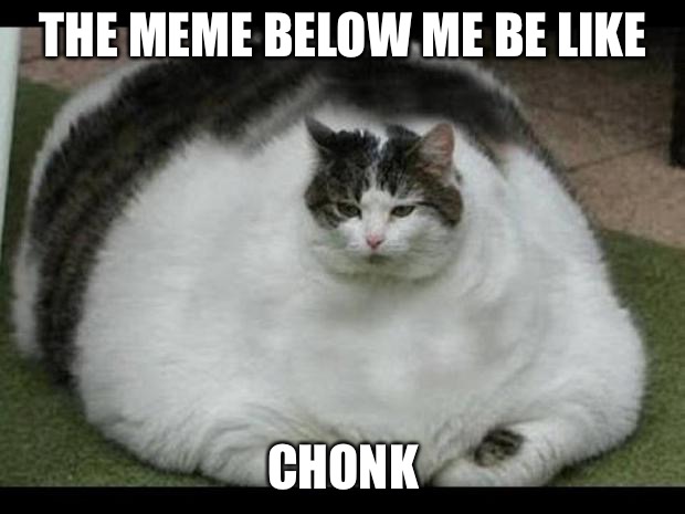 fat cat 2 | THE MEME BELOW ME BE LIKE; CHONK | image tagged in fat cat 2 | made w/ Imgflip meme maker
