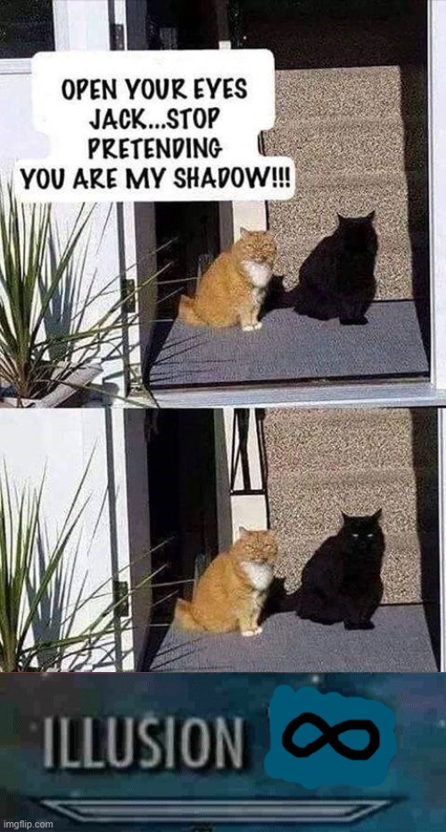 illusion infinity | image tagged in illusion 100,cats,shadow | made w/ Imgflip meme maker