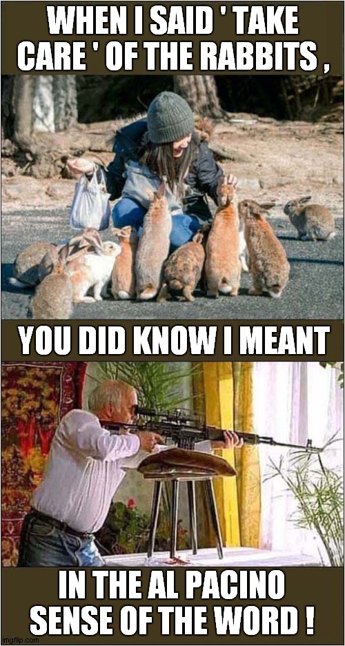 Overkill - Taking Care Of The Rabbits ! | WHEN I SAID ' TAKE CARE ' OF THE RABBITS , YOU DID KNOW I MEANT; IN THE AL PACINO SENSE OF THE WORD ! | image tagged in rabbits,sniper,father ted,dark humour | made w/ Imgflip meme maker