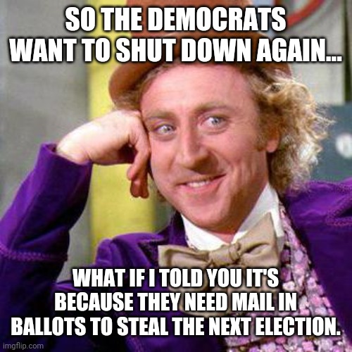 Democrats can't win a fair fight. Period. | SO THE DEMOCRATS WANT TO SHUT DOWN AGAIN... WHAT IF I TOLD YOU IT'S BECAUSE THEY NEED MAIL IN BALLOTS TO STEAL THE NEXT ELECTION. | image tagged in memes | made w/ Imgflip meme maker
