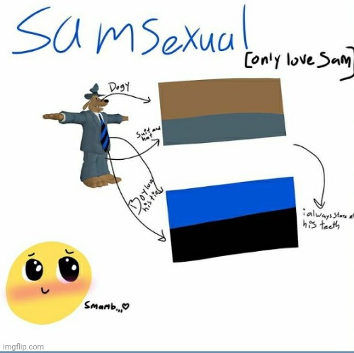 I'm a samsexual | made w/ Imgflip meme maker