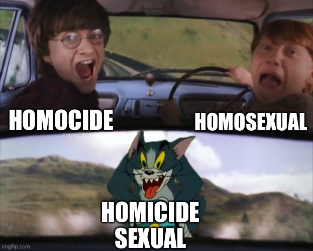 Tom chasing Harry and Ron Weasly | HOMOCIDE HOMOSEXUAL HOMICIDE SEXUAL | image tagged in tom chasing harry and ron weasly | made w/ Imgflip meme maker