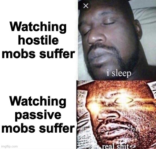 i sleep real shit | Watching hostile mobs suffer Watching passive mobs suffer | image tagged in i sleep real shit | made w/ Imgflip meme maker