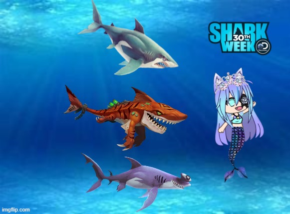 sharks vs mermaid | image tagged in shark week | made w/ Imgflip meme maker