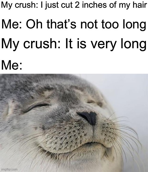 dark humor | My crush: I just cut 2 inches of my hair; Me: Oh that’s not too long; My crush: It is very long; Me: | image tagged in memes,satisfied seal,dark humor,crush,some dark joke barely anyone can understand | made w/ Imgflip meme maker