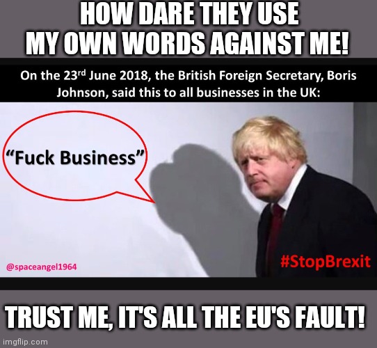 Don't believe it |  HOW DARE THEY USE MY OWN WORDS AGAINST ME! TRUST ME, IT'S ALL THE EU'S FAULT! | image tagged in trust me | made w/ Imgflip meme maker