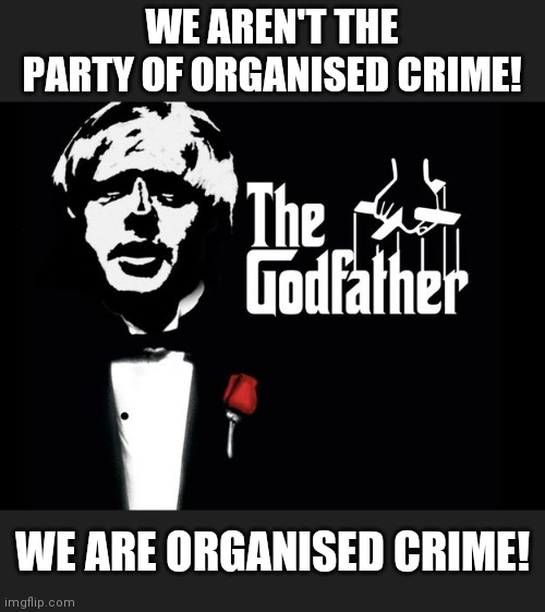 Godfather | WE AREN'T THE PARTY OF ORGANISED CRIME! WE ARE ORGANISED CRIME! | image tagged in crimes johnson | made w/ Imgflip meme maker