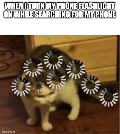 Confusion 100 | WHEN I TURN MY PHONE FLASHLIGHT ON WHILE SEARCHING FOR MY PHONE | image tagged in super confused cat | made w/ Imgflip meme maker