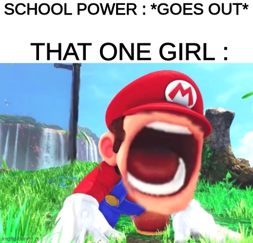 That one girl : | SCHOOL POWER : *GOES OUT*; THAT ONE GIRL : | image tagged in mario screaming | made w/ Imgflip meme maker