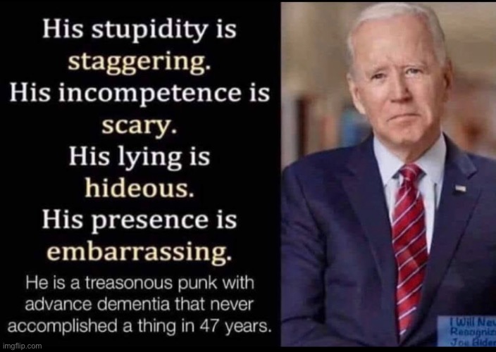 And everyone who voted for him needs a frontal lobe lobotomy | image tagged in joe biden,democrats,memes | made w/ Imgflip meme maker