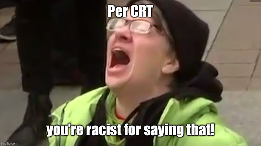 Screaming Liberal  | Per CRT you’re racist for saying that! | image tagged in screaming liberal | made w/ Imgflip meme maker