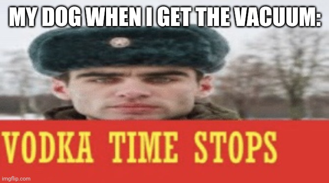 Vodka time stops | MY DOG WHEN I GET THE VACUUM: | image tagged in vodka time stops | made w/ Imgflip meme maker