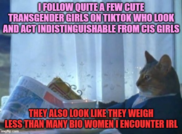 I'm a rightwing conservative, but this needs to be said | I FOLLOW QUITE A FEW CUTE TRANSGENDER GIRLS ON TIKTOK WHO LOOK AND ACT INDISTINGUISHABLE FROM CIS GIRLS; THEY ALSO LOOK LIKE THEY WEIGH LESS THAN MANY BIO WOMEN I ENCOUNTER IRL | image tagged in memes,i should buy a boat cat,transgender,girls,weight,tiktok | made w/ Imgflip meme maker