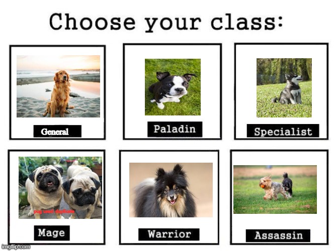 Choose Your Fighter | General; pug used: duplicate | image tagged in choose your fighter | made w/ Imgflip meme maker