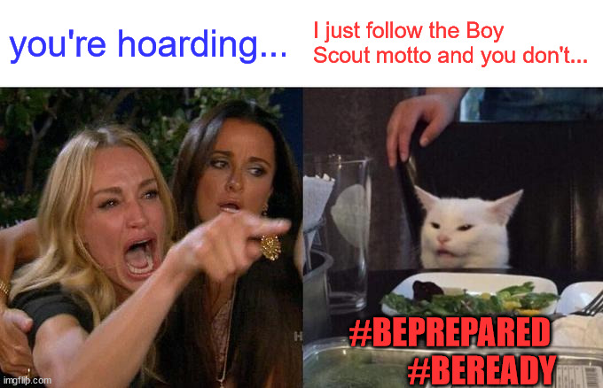 Woman Yelling At Cat | you're hoarding... I just follow the Boy Scout motto and you don't... #BEPREPARED           #BEREADY | image tagged in memes,woman yelling at cat | made w/ Imgflip meme maker