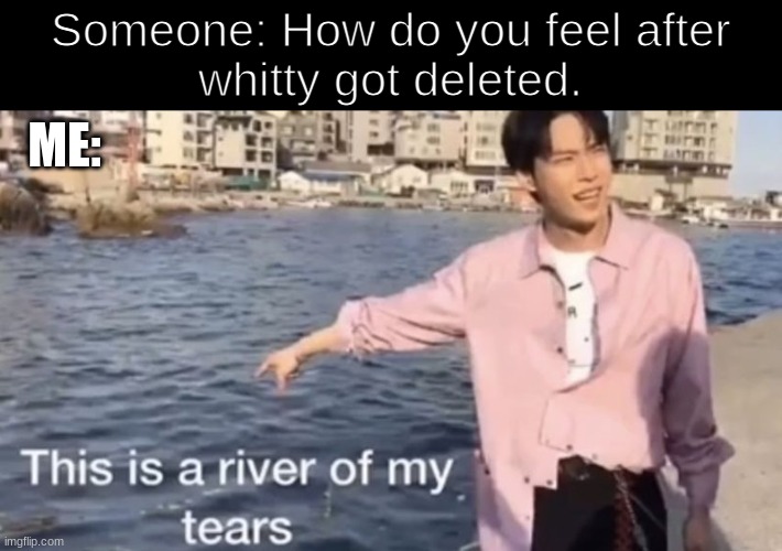 This is a river of my tears | Someone: How do you feel after
whitty got deleted. ME: | image tagged in this is a river of my tears | made w/ Imgflip meme maker