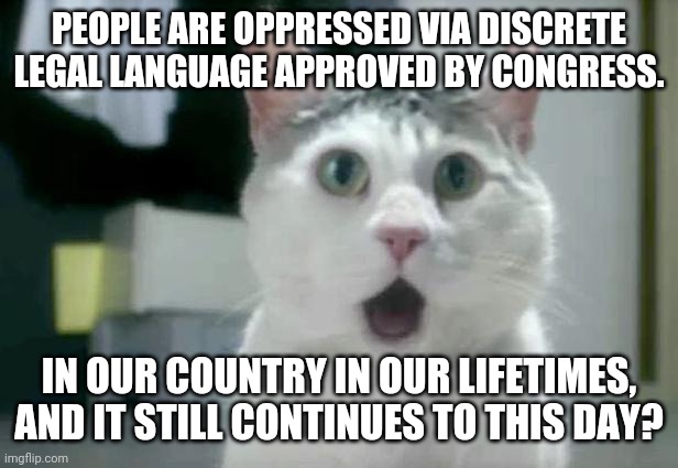 OMG Cat Meme | PEOPLE ARE OPPRESSED VIA DISCRETE LEGAL LANGUAGE APPROVED BY CONGRESS. IN OUR COUNTRY IN OUR LIFETIMES, AND IT STILL CONTINUES TO THIS DAY? | image tagged in memes,omg cat | made w/ Imgflip meme maker