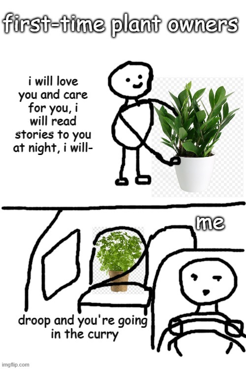 I'm that plant owner | image tagged in plants | made w/ Imgflip meme maker
