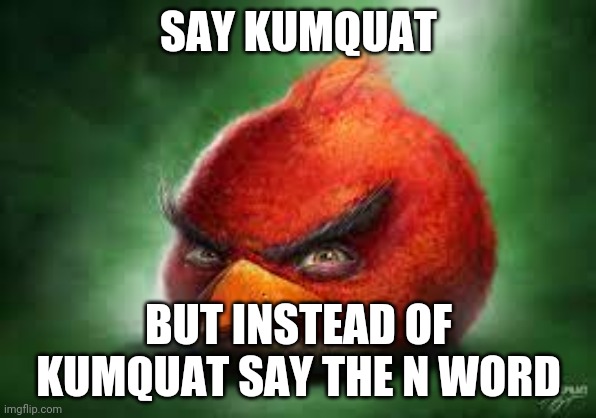 Realistic Red Angry Birds | SAY KUMQUAT BUT INSTEAD OF KUMQUAT SAY THE N WORD | image tagged in realistic red angry birds | made w/ Imgflip meme maker