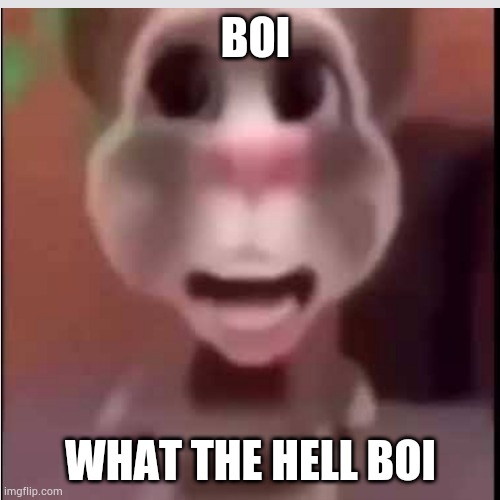 BOI; WHAT THE HELL BOI | made w/ Imgflip meme maker