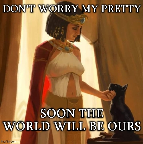 pretty cat world | DON'T WORRY MY PRETTY; SOON THE WORLD WILL BE OURS | image tagged in lady,the most interesting cat in the world,lady screams at cat | made w/ Imgflip meme maker