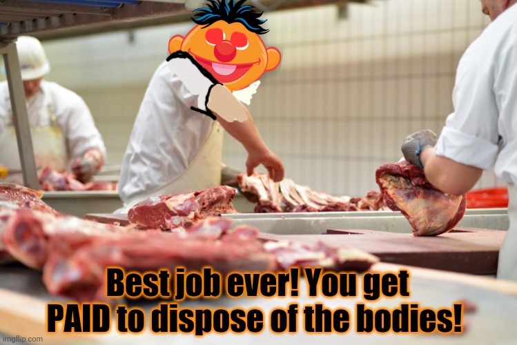 Ernie's new job! | Best job ever! You get PAID to dispose of the bodies! | image tagged in bert and ernie,sesame street,slaughter,house,new job | made w/ Imgflip meme maker