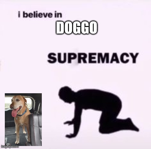 I believe in supremacy | DOGGO | image tagged in i believe in supremacy | made w/ Imgflip meme maker