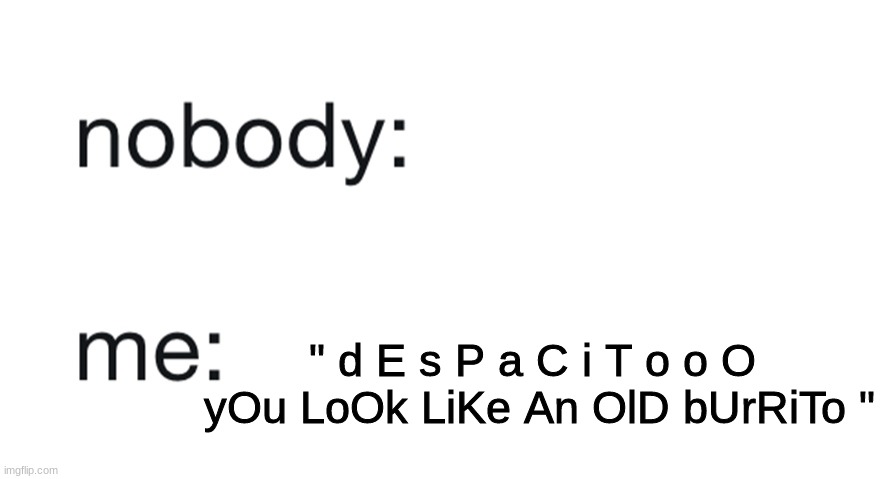 nobody: me: | " d E s P a C i T o o O  yOu LoOk LiKe An OlD bUrRiTo " | image tagged in nobody me | made w/ Imgflip meme maker