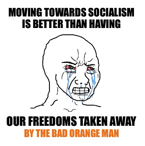 We’ve all been saved from certain death | MOVING TOWARDS SOCIALISM 
IS BETTER THAN HAVING; OUR FREEDOMS TAKEN AWAY; BY THE BAD ORANGE MAN | image tagged in blank,socialism | made w/ Imgflip meme maker