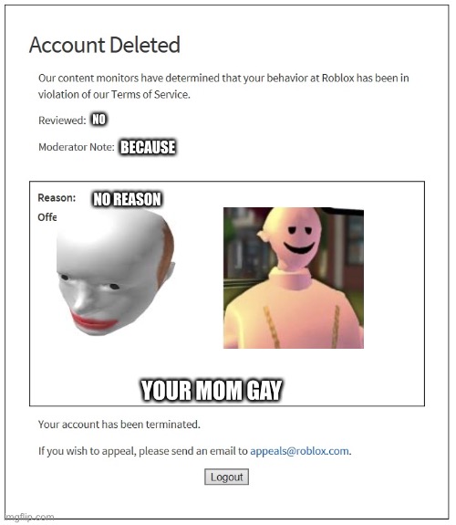 banned from ROBLOX | NO; BECAUSE; NO REASON; YOUR MOM GAY | image tagged in banned from roblox | made w/ Imgflip meme maker