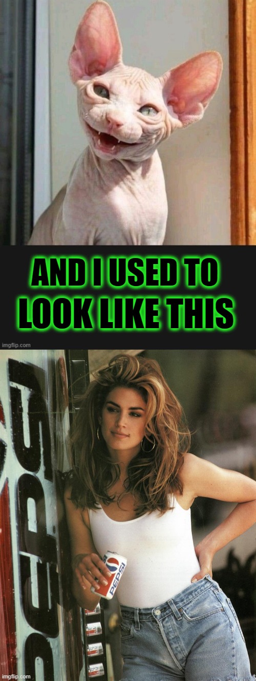 AND I USED TO LOOK LIKE THIS | image tagged in cindy crawford pepsi | made w/ Imgflip meme maker
