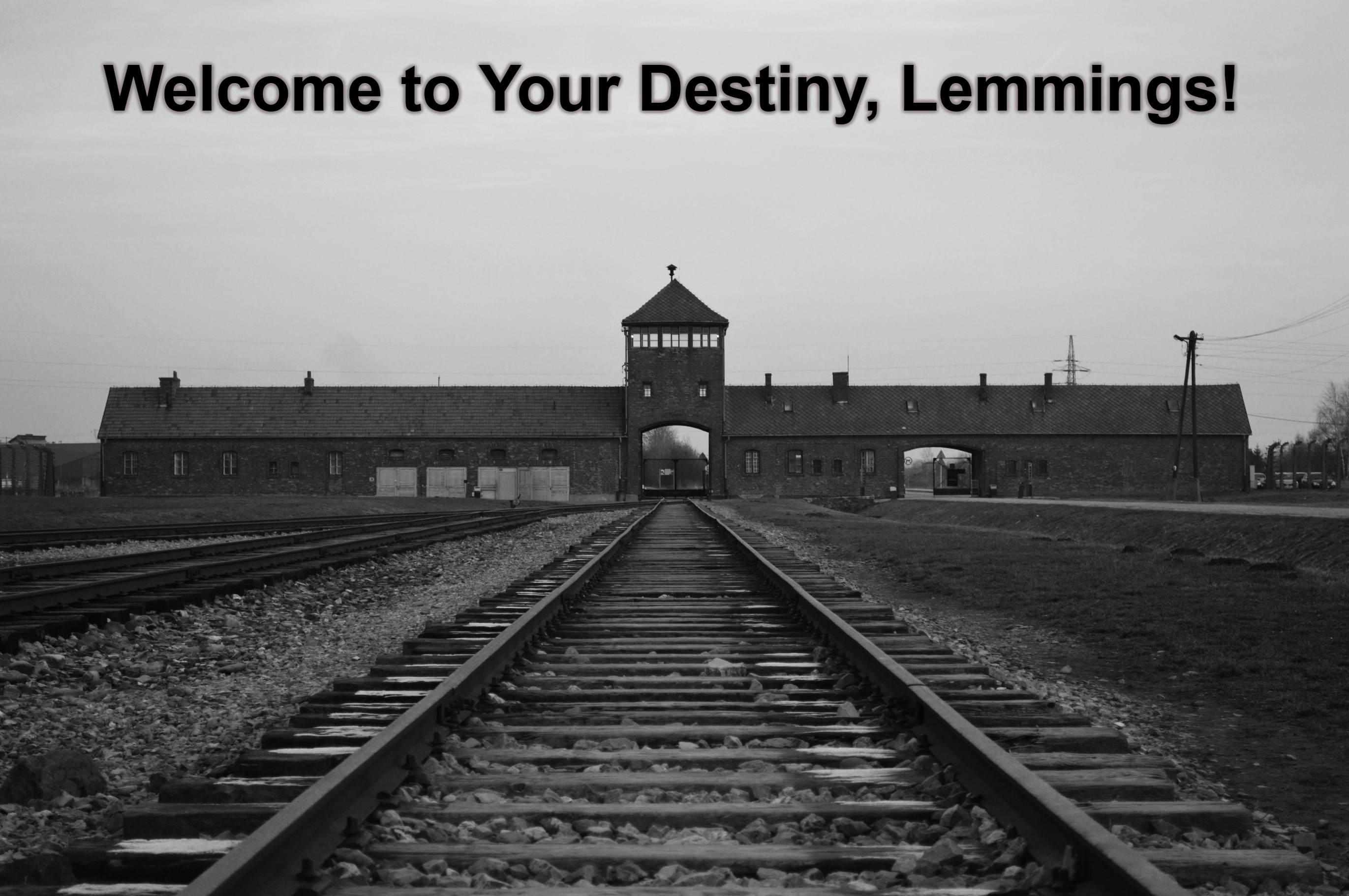 Welcome to Your Destiny, Lemmings! | image tagged in lemmings,sheeple,covidiots,covid vaccine,final destination,99 percent survival rate | made w/ Imgflip meme maker