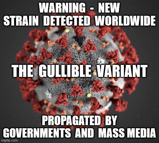 The Gullible Variant | WARNING  -  NEW STRAIN  DETECTED  WORLDWIDE; THE  GULLIBLE  VARIANT; PROPAGATED  BY GOVERNMENTS  AND  MASS MEDIA | image tagged in corona virus | made w/ Imgflip meme maker