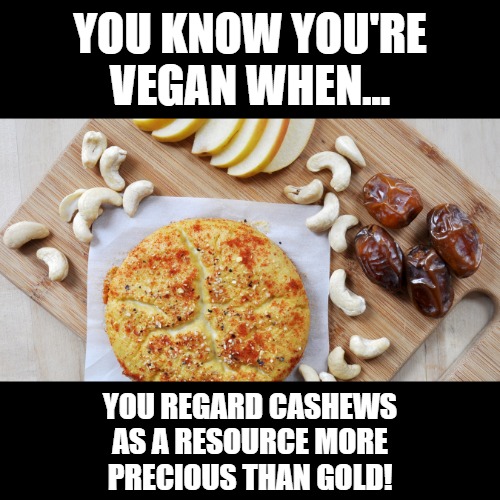 YOU KNOW YOU'RE VEGAN WHEN... YOU REGARD CASHEWS AS A RESOURCE MORE PRECIOUS THAN GOLD! | image tagged in vegan | made w/ Imgflip meme maker