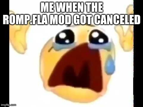 cursed crying emoji | ME WHEN THE ROMP.FLA MOD GOT CANCELED | image tagged in cursed crying emoji | made w/ Imgflip meme maker