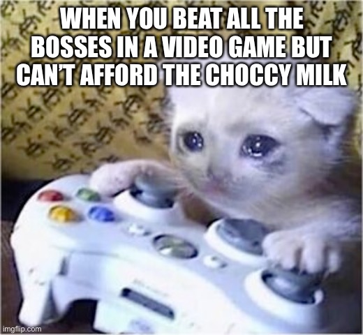 Can’t afford it | WHEN YOU BEAT ALL THE BOSSES IN A VIDEO GAME BUT CAN’T AFFORD THE CHOCCY MILK | image tagged in choccy milk | made w/ Imgflip meme maker