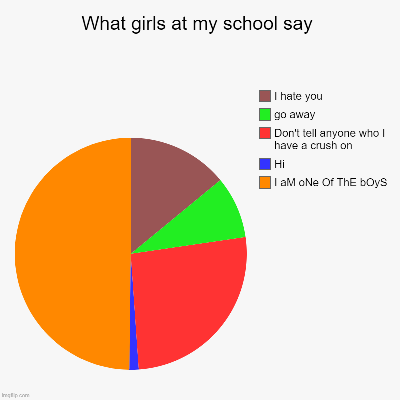 No you're not | What girls at my school say | I aM oNe Of ThE bOyS, Hi, Don't tell anyone who I have a crush on, go away, I hate you | image tagged in charts,pie charts,girls,school | made w/ Imgflip chart maker