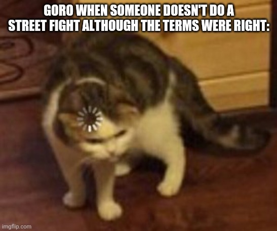 Goro isn't the smartest god out of the 7 | GORO WHEN SOMEONE DOESN'T DO A STREET FIGHT ALTHOUGH THE TERMS WERE RIGHT: | image tagged in loading cat | made w/ Imgflip meme maker