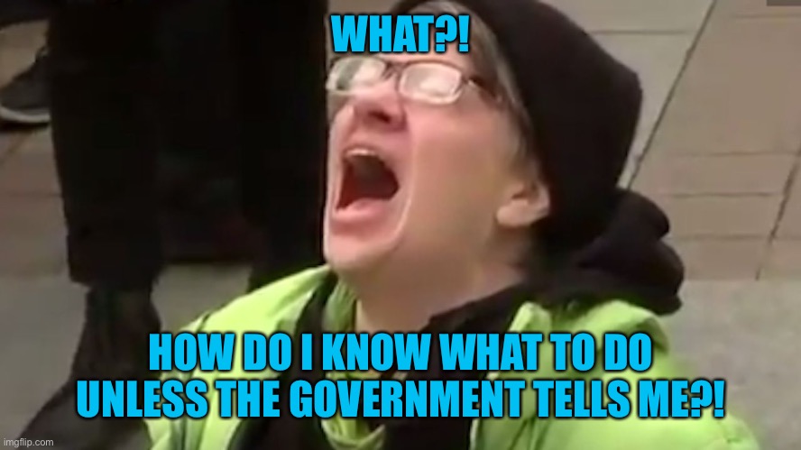 Screaming Liberal  | WHAT?! HOW DO I KNOW WHAT TO DO UNLESS THE GOVERNMENT TELLS ME?! | image tagged in screaming liberal | made w/ Imgflip meme maker