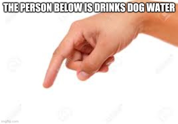 the person below | THE PERSON BELOW IS DRINKS DOG WATER | image tagged in the person below | made w/ Imgflip meme maker