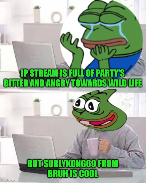 Pepe party! for the ppl, animals and even ip law breakers hint hint | IP STREAM IS FULL OF PARTY'S BITTER AND ANGRY TOWARDS WILD LIFE; BUT SURLYKONG69 FROM
BRUH IS COOL | image tagged in memes,hide the pain harold,pepe party | made w/ Imgflip meme maker