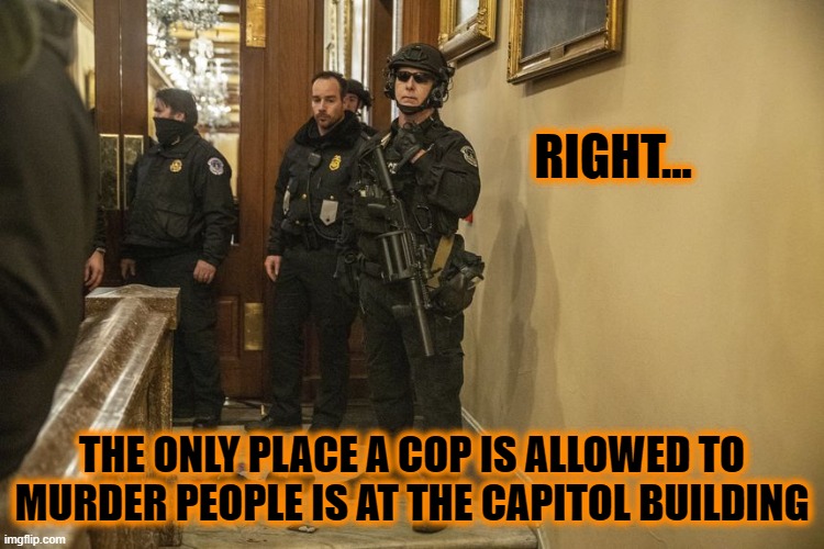 RIGHT... THE ONLY PLACE A COP IS ALLOWED TO MURDER PEOPLE IS AT THE CAPITOL BUILDING | made w/ Imgflip meme maker