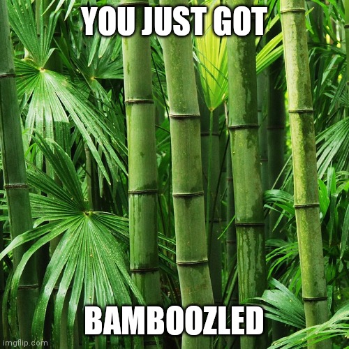 2yr ago I made this ?‍♂️ | YOU JUST GOT; BAMBOOZLED | image tagged in not funny | made w/ Imgflip meme maker