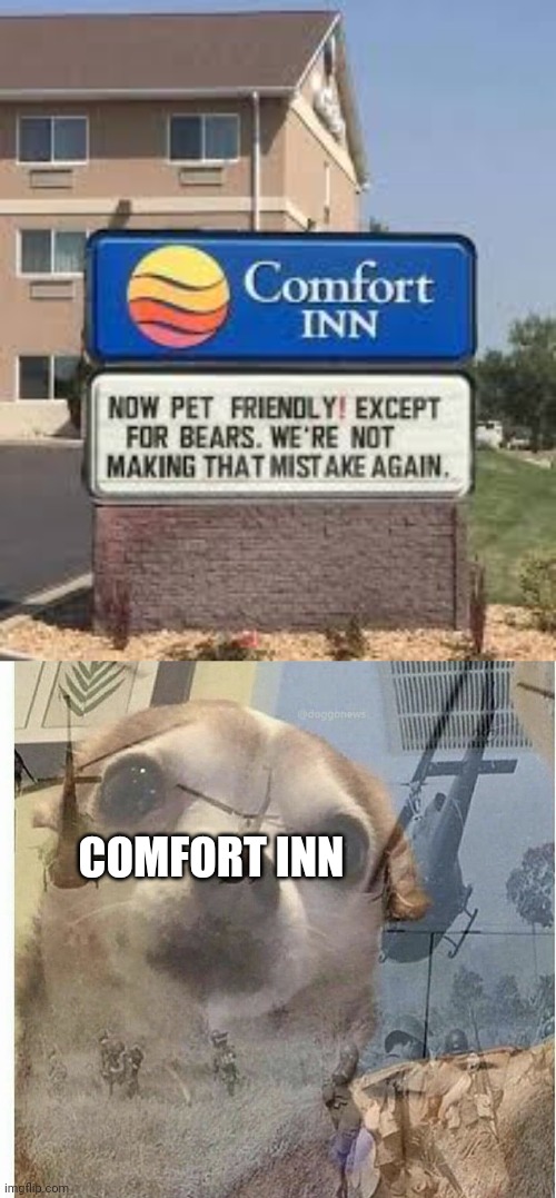 COMFORT INN | image tagged in ptsd chihuahua | made w/ Imgflip meme maker
