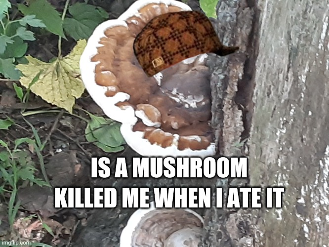 KILLED ME WHEN I ATE IT; IS A MUSHROOM | image tagged in shittyadviceanimals | made w/ Imgflip meme maker
