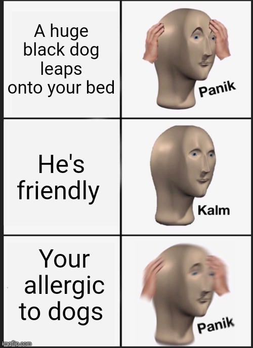 Panik Kalm Panik | A huge black dog leaps onto your bed; He's friendly; Your allergic to dogs | image tagged in memes,panik kalm panik | made w/ Imgflip meme maker