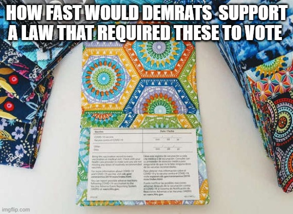 REQUIRED VOTER ID | HOW FAST WOULD DEMRATS  SUPPORT A LAW THAT REQUIRED THESE TO VOTE | made w/ Imgflip meme maker
