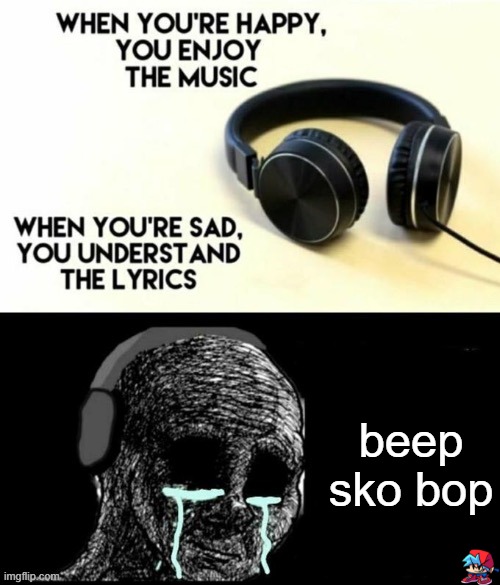 When your sad you understand the lyrics | beep sko bop | image tagged in when your sad you understand the lyrics | made w/ Imgflip meme maker
