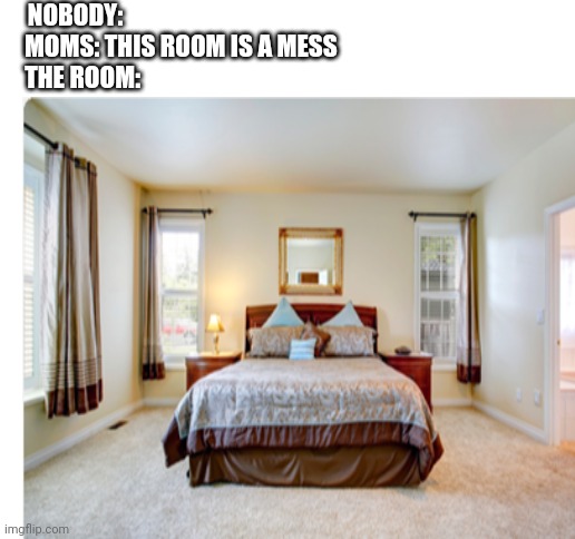 Based on a true story | NOBODY:                                            
MOMS: THIS ROOM IS A MESS 
THE ROOM: | image tagged in blank white template | made w/ Imgflip meme maker